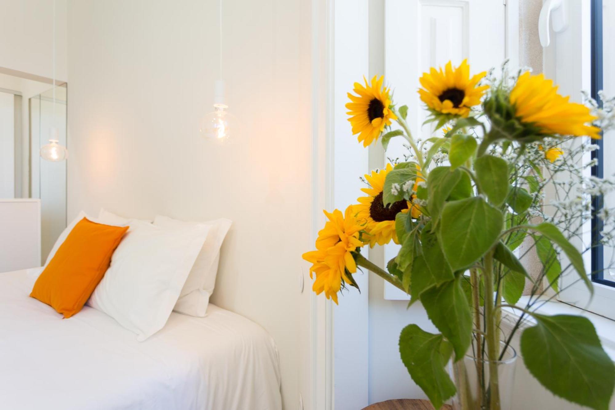 Vila Julieta Guesthouse 科英布拉 外观 照片